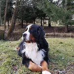 Konukevi Zazrifka Zázrivá