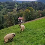 Zazrifka Konukevi 4*