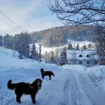 Zazrifka Konukevi 4*