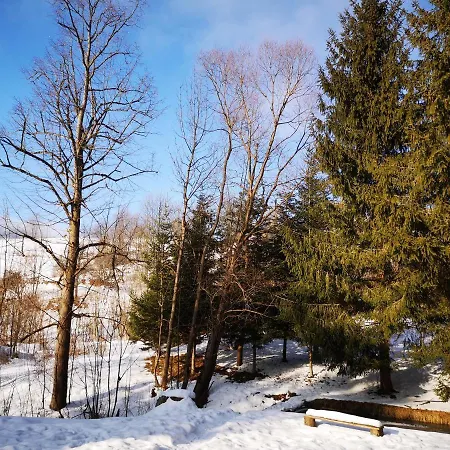 Zazrifka Guest house