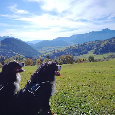 Konukevi Zazrifka 4*