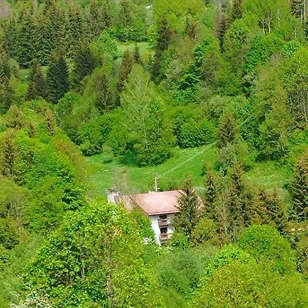 Guest house Zazrifka Zazriva