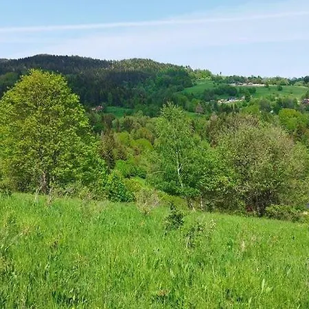 Zazrifka Konukevi 4*