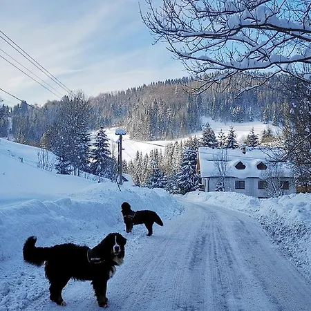 Zazrifka Guest house 4*