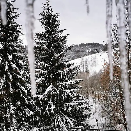 Guest house Zazrifka 4*