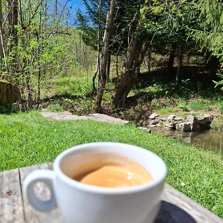 Zazrifka Konukevi 4*